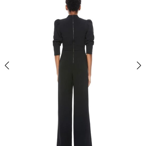 Alice + Olivia ALEXIS TIE WAIST JUMPSUIT-C20 - Picture 2 of 5